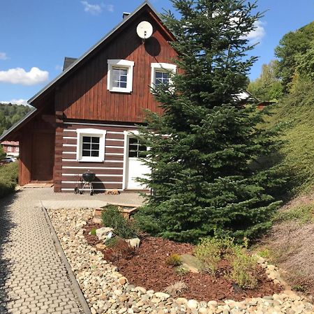 Modern chalet Na Zlatníku Zlata Olesnice (Jablonec nad Nisou) Exterior foto